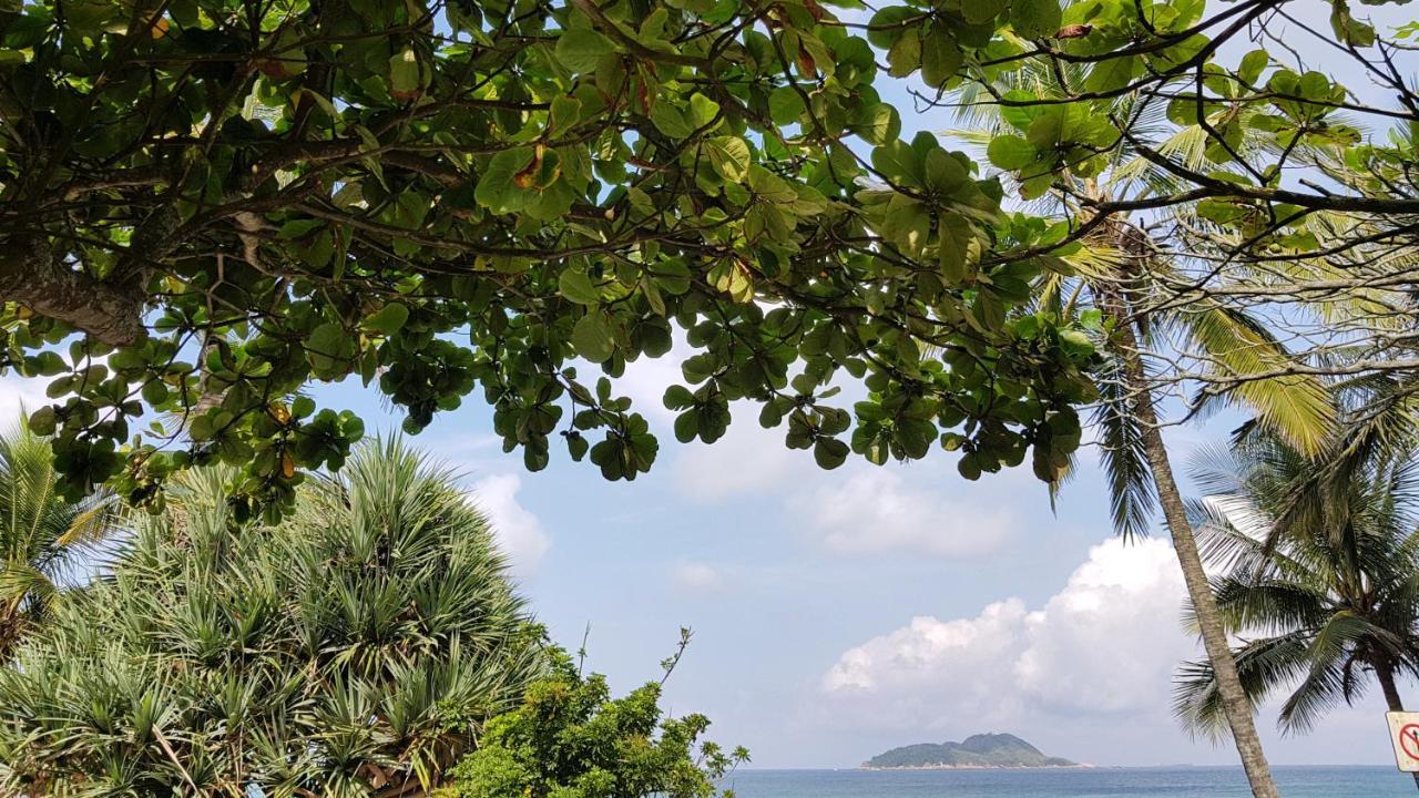 Frente Pro Mar - B - Praia Do Tombo - Beachfront Lägenhet Guarujá Exteriör bild